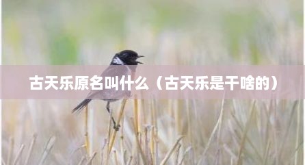 古天乐原名叫什么（古天乐是干啥的）