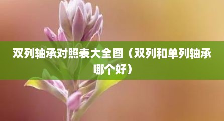 双列轴承对照表大全图（双列和单列轴承哪个好）