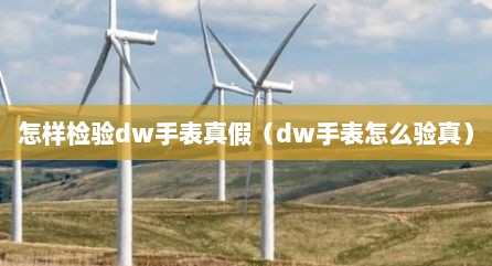 怎样检验dw手表真假（dw手表怎么验真）