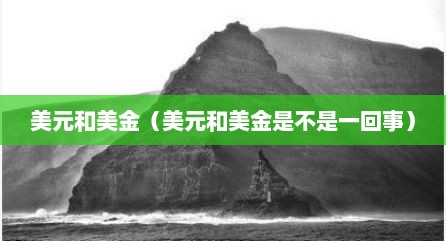 美元和美金（美元和美金是不是一回事）
