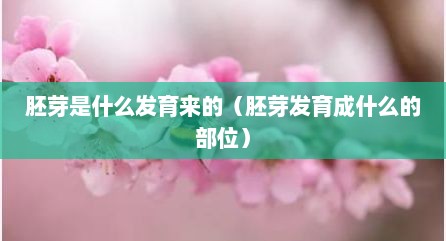 胚芽是什么发育来的（胚芽发育成什么的部位）
