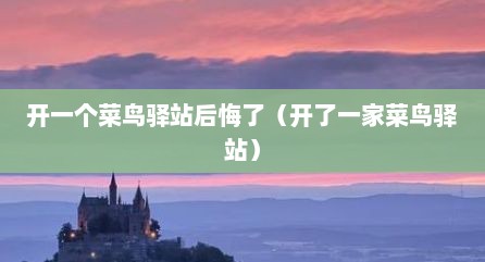 开一个菜鸟驿站后悔了（开了一家菜鸟驿站）