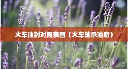 火车油封对照表图（火车轴承油脂）