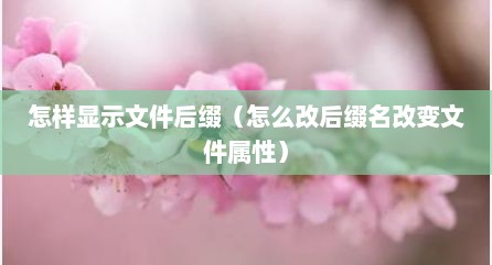 怎样显示文件后缀（怎么改后缀名改变文件属性）