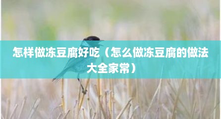 怎样做冻豆腐好吃（怎么做冻豆腐的做法大全家常）