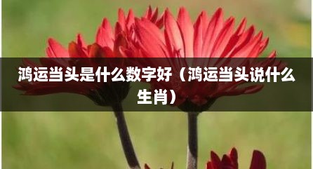 鸿运当头是什么数字好（鸿运当头说什么生肖）