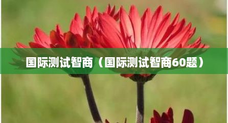 国际测试智商（国际测试智商60题）