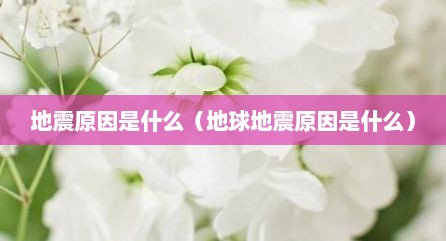 地震原因是什么（地球地震原因是什么）
