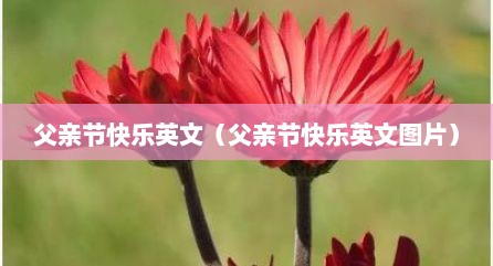 父亲节快乐英文（父亲节快乐英文图片）