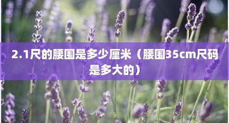 2.1尺的腰围是多少厘米（腰围35cm尺码是多大的）