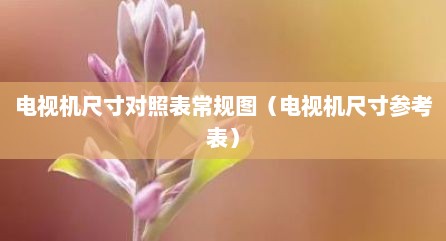 电视机尺寸对照表常规图（电视机尺寸参考表）