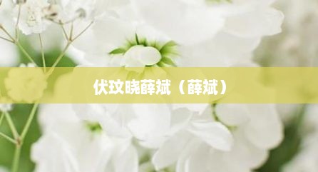 伏玟晓薛斌（薛斌）