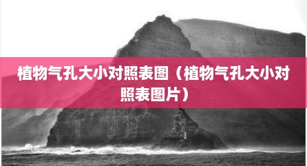 植物气孔大小对照表图（植物气孔大小对照表图片）
