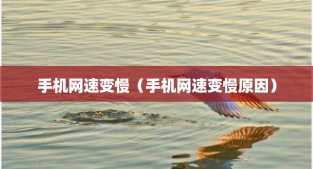 手机网速变慢（手机网速变慢原因）