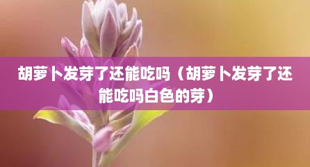 胡萝卜发芽了还能吃吗（胡萝卜发芽了还能吃吗白色的芽）