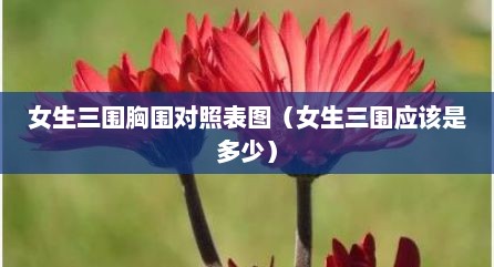 女生三围胸围对照表图（女生三围应该是多少）