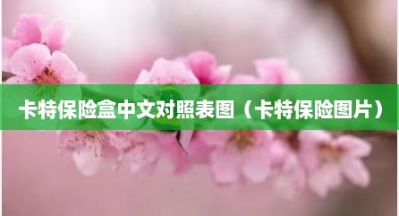 卡特保险盒中文对照表图（卡特保险图片）
