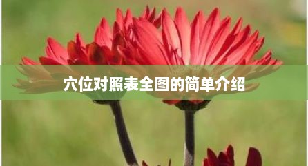 穴位对照表全图的简单介绍