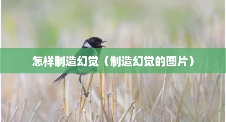怎样制造幻觉（制造幻觉的图片）