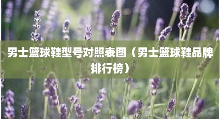 男士篮球鞋型号对照表图（男士篮球鞋品牌排行榜）