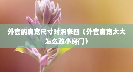 外套的肩宽尺寸对照表图（外套肩宽太大怎么改小窍门）