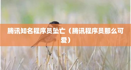 腾讯知名程序员坠亡（腾讯程序员那么可爱）