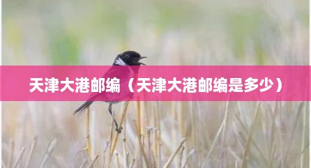 天津大港邮编（天津大港邮编是多少）