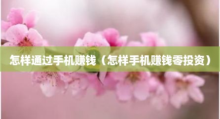 怎样通过手机赚钱（怎样手机赚钱零投资）