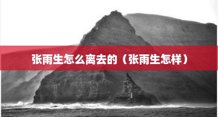张雨生怎么离去的（张雨生怎样）