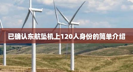 已确认东航坠机上120人身份的简单介绍