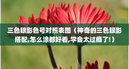 三色眼影色号对照表图（神奇的三色眼影搭配,怎么涂都好看,学会太过瘾了!）