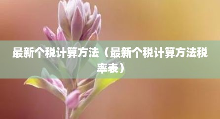 最新个税计算方法（最新个税计算方法税率表）