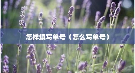 怎样填写单号（怎么写单号）