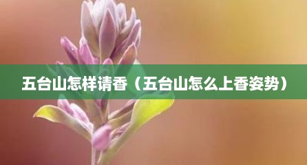 五台山怎样请香（五台山怎么上香姿势）