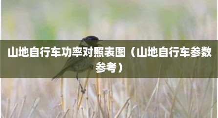 山地自行车功率对照表图（山地自行车参数参考）