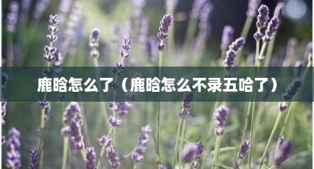 鹿晗怎么了（鹿晗怎么不录五哈了）
