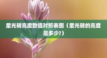 柔光砖亮度数值对照表图（柔光砖的亮度是多少?）