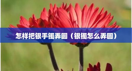 怎样把银手镯弄圆（银镯怎么弄圆）
