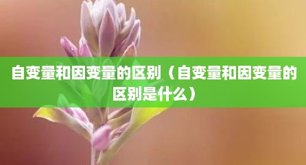 自变量和因变量的区别（自变量和因变量的区别是什么）