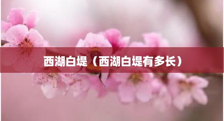 西湖白堤（西湖白堤有多长）
