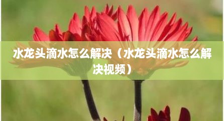 水龙头滴水怎么解决（水龙头滴水怎么解决视频）