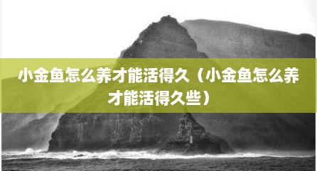 小金鱼怎么养才能活得久（小金鱼怎么养才能活得久些）