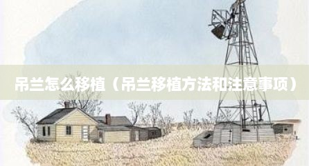 吊兰怎么移植（吊兰移植方法和注意事项）