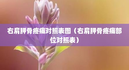 右肩胛骨疼痛对照表图（右肩胛骨疼痛部位对照表）