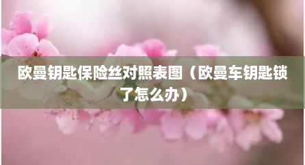 欧曼钥匙保险丝对照表图（欧曼车钥匙锁了怎么办）