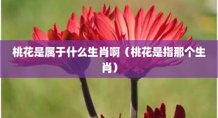 桃花是属于什么生肖啊（桃花是指那个生肖）
