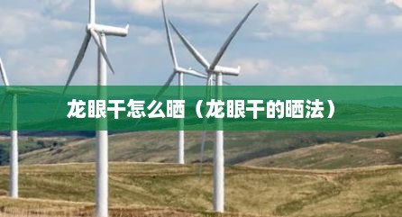 龙眼干怎么晒（龙眼干的晒法）