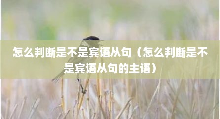 怎么判断是不是宾语从句（怎么判断是不是宾语从句的主语）