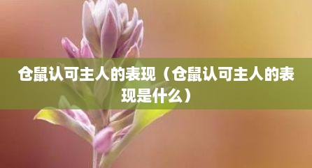 仓鼠认可主人的表现（仓鼠认可主人的表现是什么）