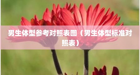 男生体型参考对照表图（男生体型标准对照表）